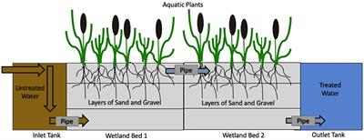 Yuck! Plural Valuation of Constructed Wetland Maintenance for Decentralized Wastewater Treatment in Rural India